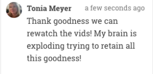Comment by Tonia Meyer: 'Thank goodness we can rewatch the vids! My brain is exploding trying to retain all this goodness!'